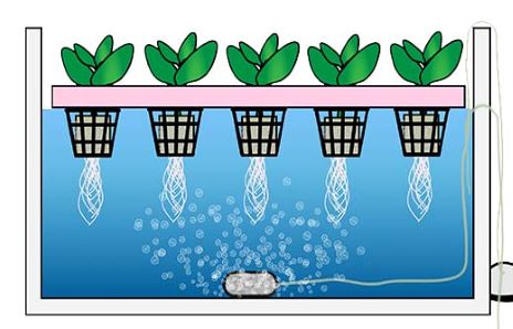 深水培养系统简介